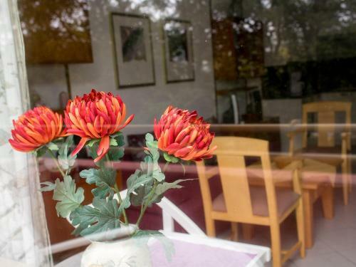 Apartment B313 (ferienpark Rhein-lahn)