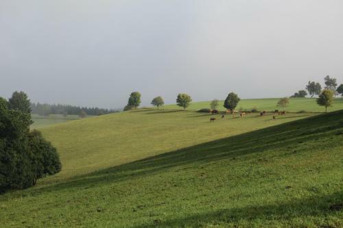 Apartamento Appartement Nordenau