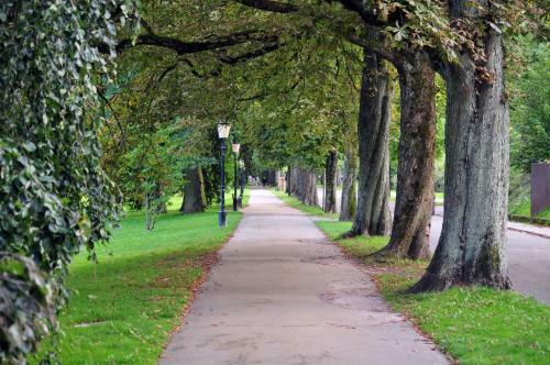 Apartamento Urlaub Pur In Baden-baden