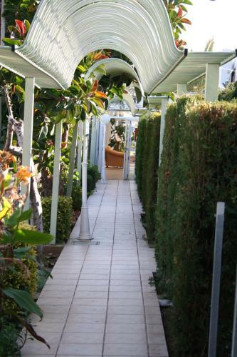 Hotel Playa Canet