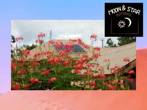 Hotel Moon And Star Guesthouse
