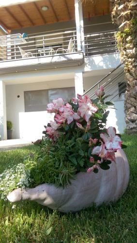 Militsa Apartments