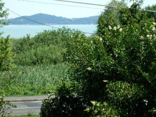 Badacsonyi Lugas Apartmanok