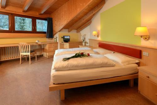 Hotel Casa Alpina - Alpin Haus