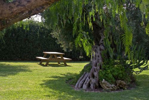 Agroturismo Agriturismo Li Damiani
