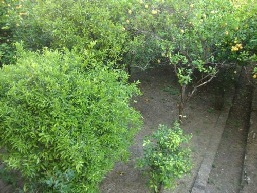 Apartamento Anfiteatro