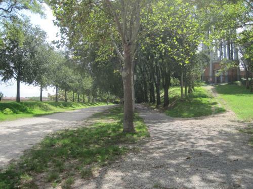 Hostal B&B Alle Giostre Antico Alloggio