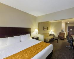 Hotel Comfort Suites North/galleria