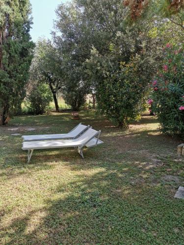 Agroturismo Agriturismo Pettinari