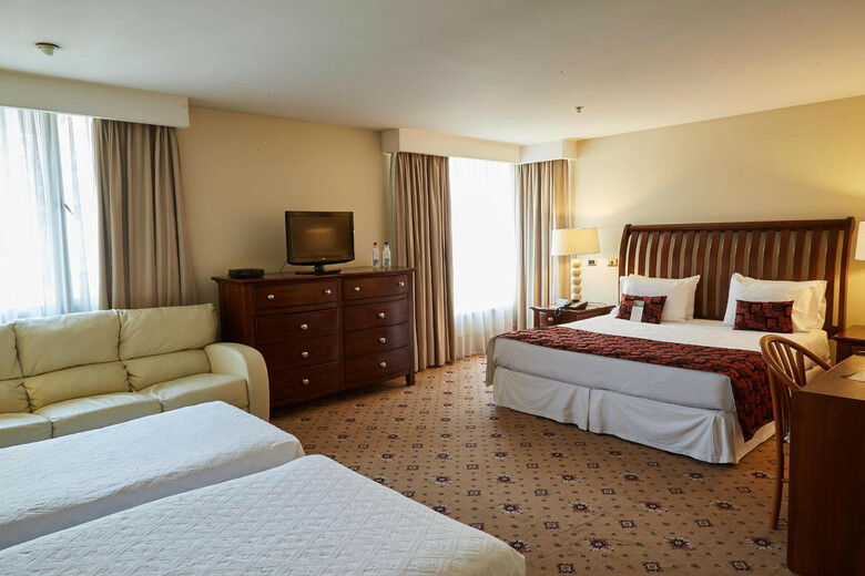 Hotel Torremayor Lyon