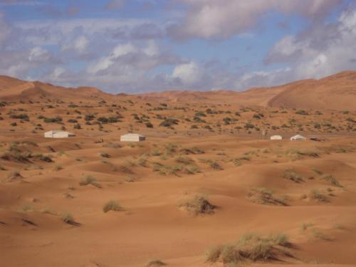 Night Desert Camp