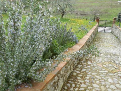 Agroturismo Amedea Tuscany Country Experience