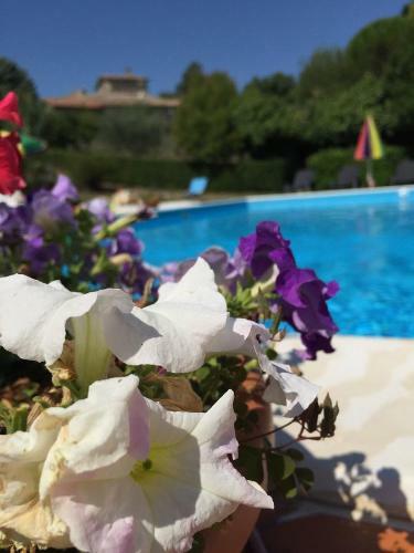 Agroturismo Agriturismo Poggio Paradiso