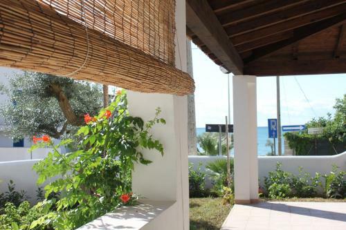 Villa Ammiragli 12