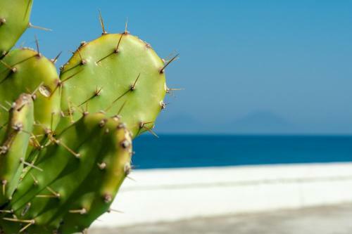 In Riva Al Mare B&B