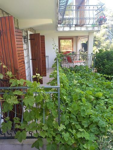 Apartments Villa ?u?uk
