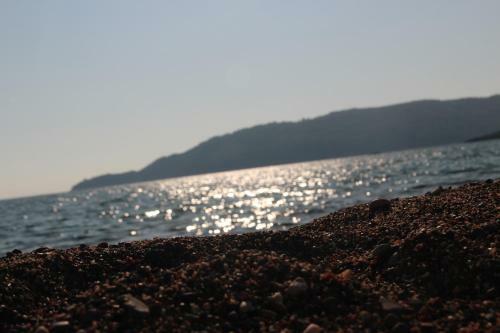 Holiday Home Branko