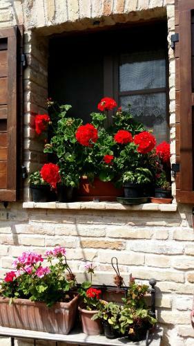 Agroturismo Agriturismo Fiorano