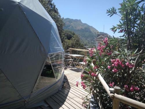 Eremo Di Montevergine Ischia Apartments