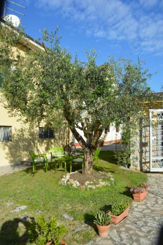 Hostal Affittacamere La Casa Di Ugo