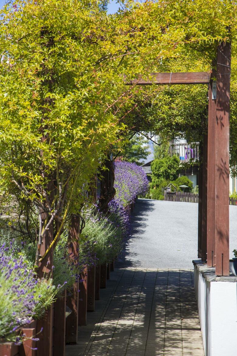 Central Ridge Boutique Hotel