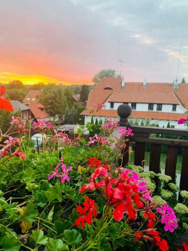 Hostal Guest House Kamienica Biala
