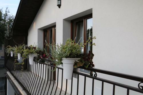 Hostal Villa Czarli