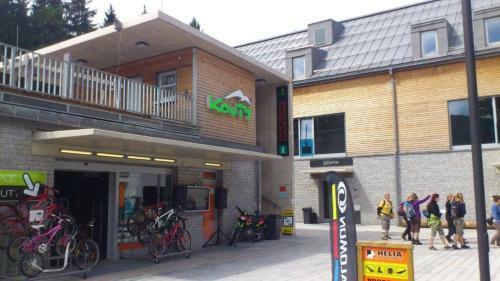 Horsk� Apartm�n P?�mo U Sjezdovky