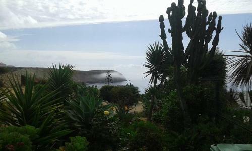 Hostal Alojamento Local Mareta