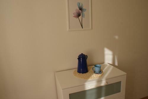 U Kolob??ky Apartment