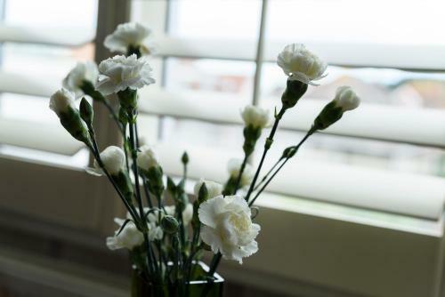 Bed & Breakfast Crossroads Hotel