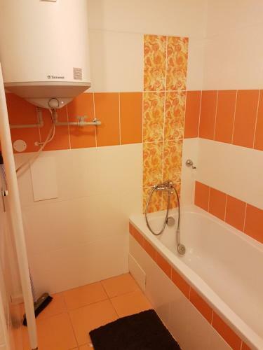 Apartm�n 4 Canada Lipno