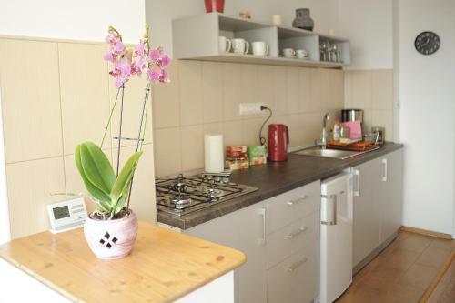 Apartament Waldo 2