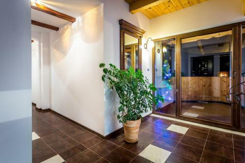 Posada Magnat Inn