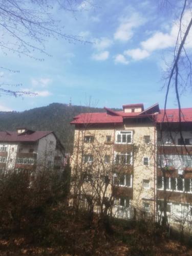 Apartament Racadau