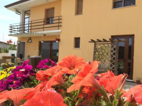Agroturismo Agriturismo San Floreano