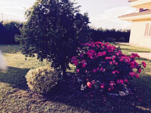 Bed & Breakfast La Chiocciola