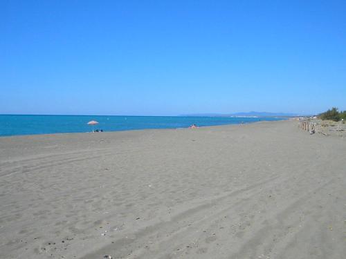 Locazione Turistica Pineta.5