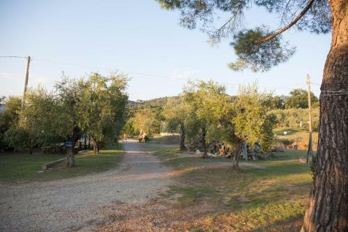 Agroturismo Agriturismo Poggetto