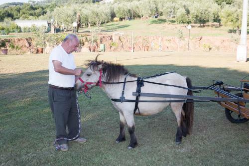 Agroturismo Agriturismo Poggetto
