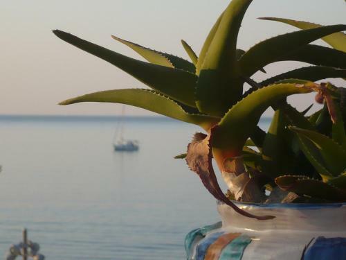 B&B Molo Di Levante