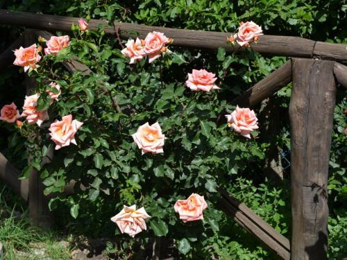 Apartamento La Fattoria Giglio