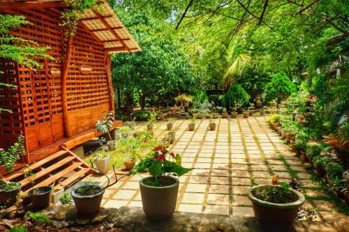 Bed & Breakfast Golden Rainbow Guest House