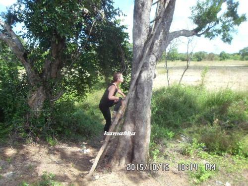 Kamatha Eco Lodge