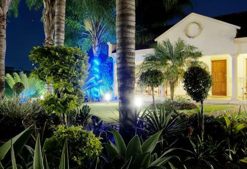 Hotel The Cycad Lodge & Chalets