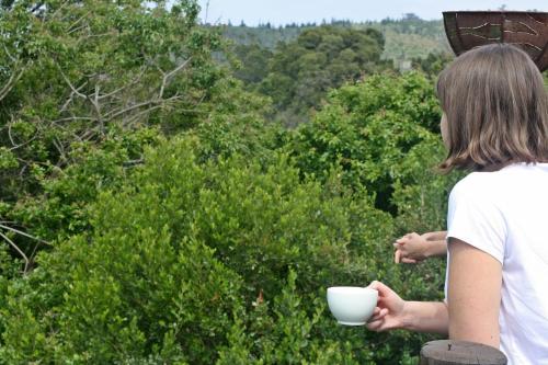 Agroturismo Redbourne Country Lodge