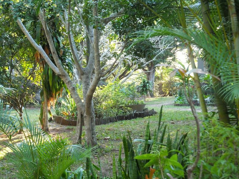 Bed & Breakfast St Lucia Kingfisher Lodge