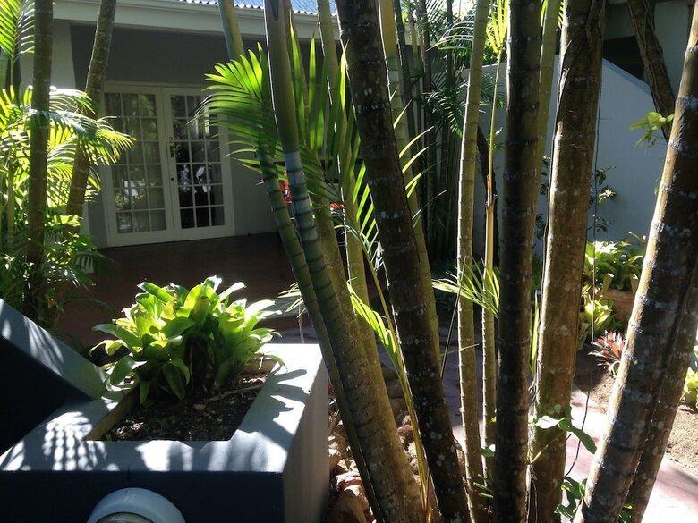 Bed & Breakfast St Lucia Kingfisher Lodge