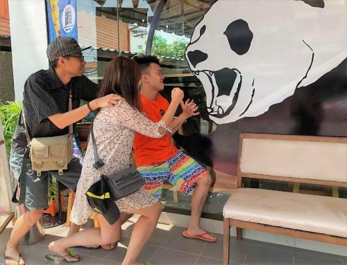 Mad Panda Hostel