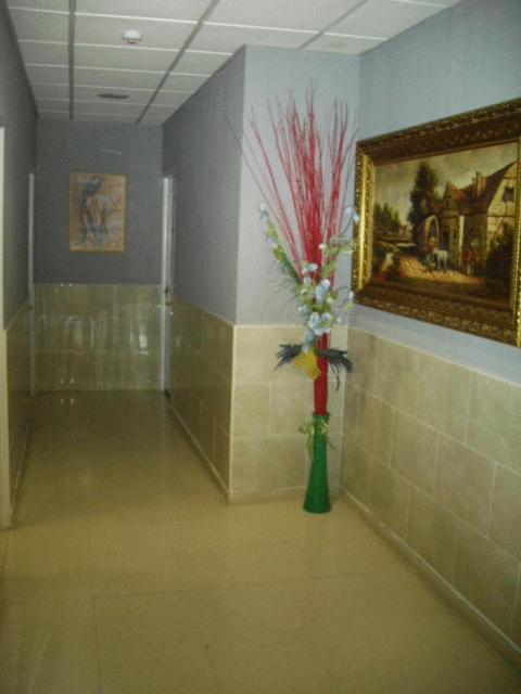 Hostal Ds